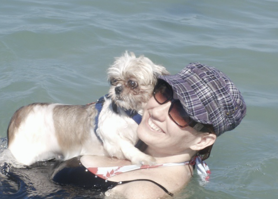 Venice is the land of fur babies – Homes for dogs